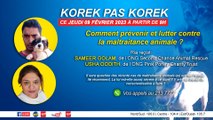 KOREK PAS KOREK : Comment prévenir et lutter contre la maltraitance animale à Maurice ?