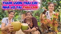 Chàng rể Việt DU HÍ thăm vườn trái cây của nhà vợ tại Thái Lan