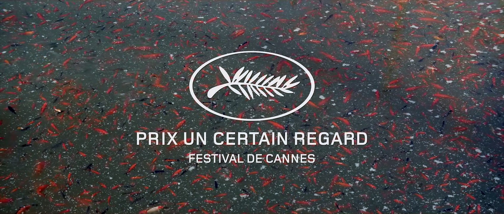 UN HOMME INTEGRE - BANDE ANNONCE OFFICIELLE