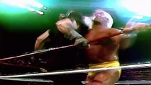 the Undertaker vs Hulk Hogan Title Match 1991 Full match