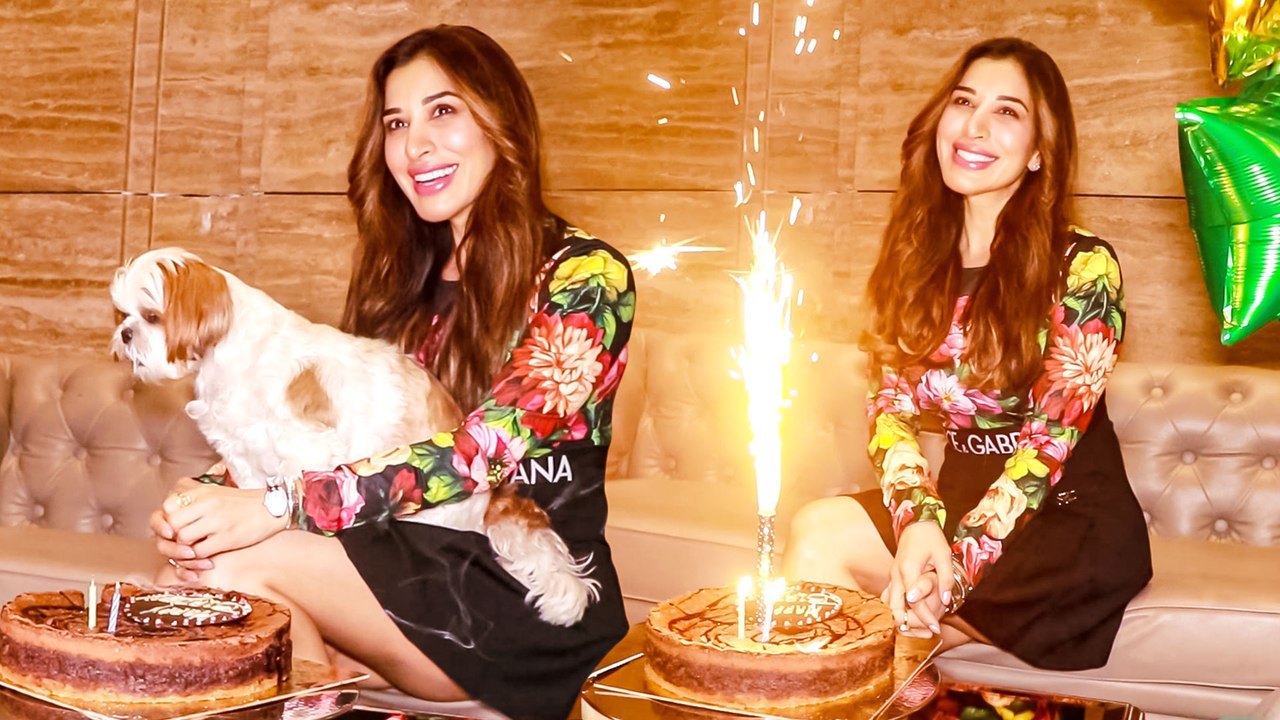 सोफी चौधरी ने मीडिया वालो के साथ सेलिब्रेट किया अपना जन्मदिन, इस लुक में ढाया कहर