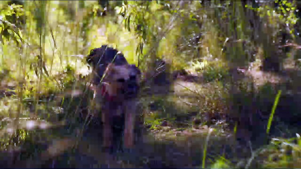 Doggy style trailer df