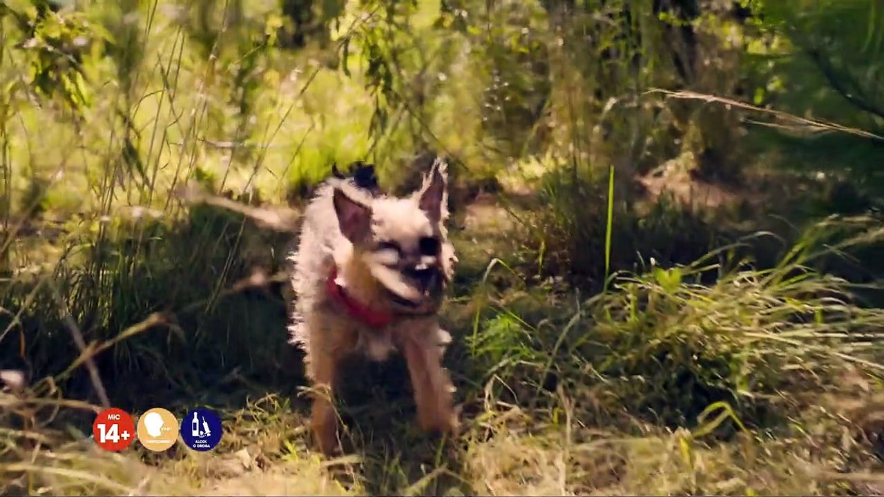 Doggy Style Trailer OV