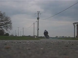 Mob violette bidalot