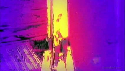 Der Rote Kakadu | movie | 2006 | Official Trailer