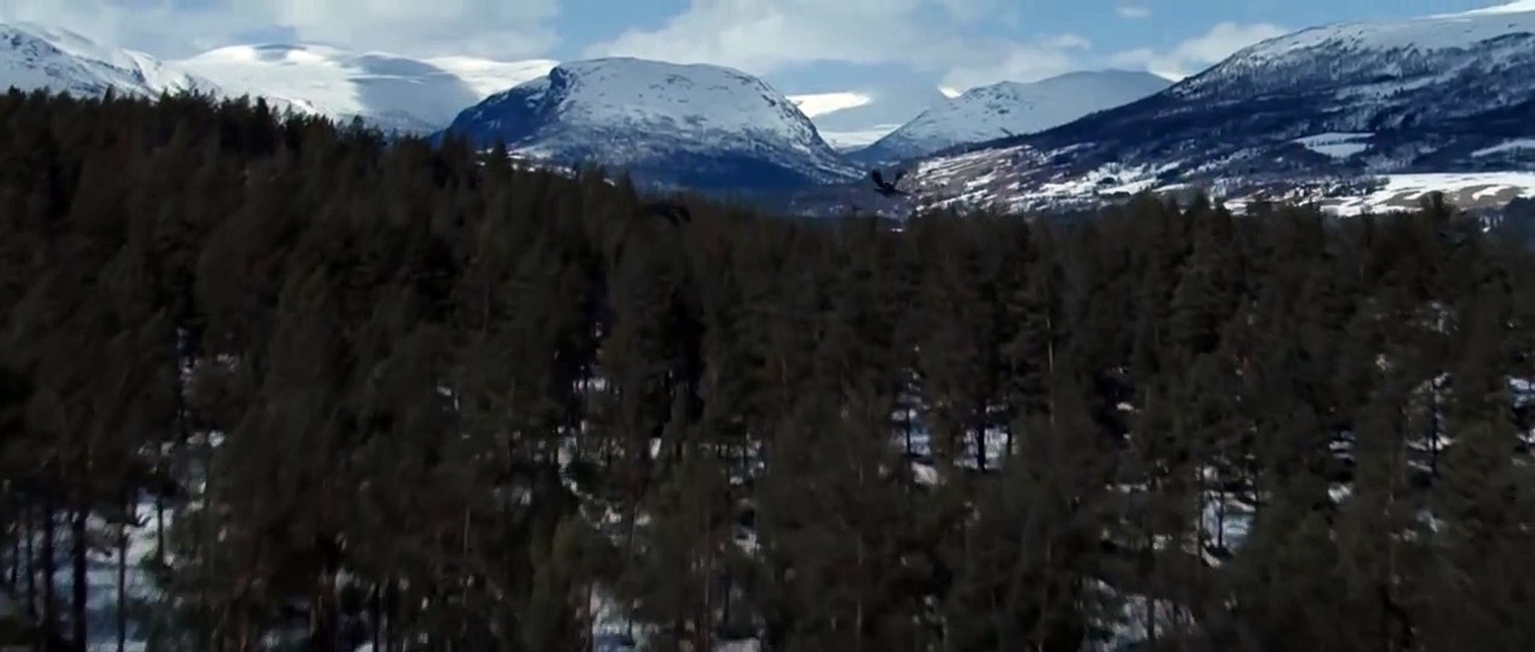 Die Legende vom Weihnachtsstern | movie | 2012 | Official Trailer