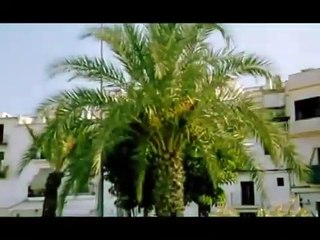 Sunshine Reggae auf Ibiza | movie | 1984 | Official Clip