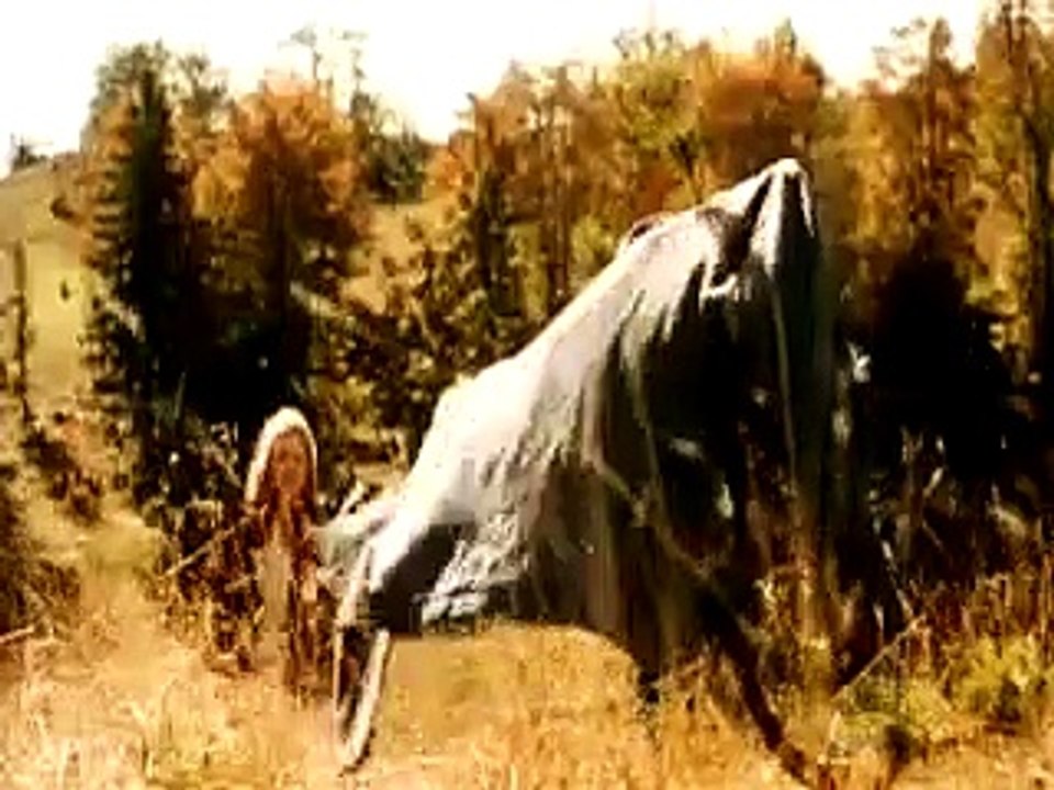 Das Leben ist ein Wunder | movie | 2001 | Official Trailer