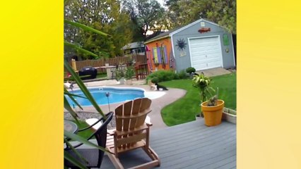 Try to stay SERIOUS -The most popular CAT videos compilation