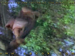 Deadly Species | movie | 2002 | Official Trailer