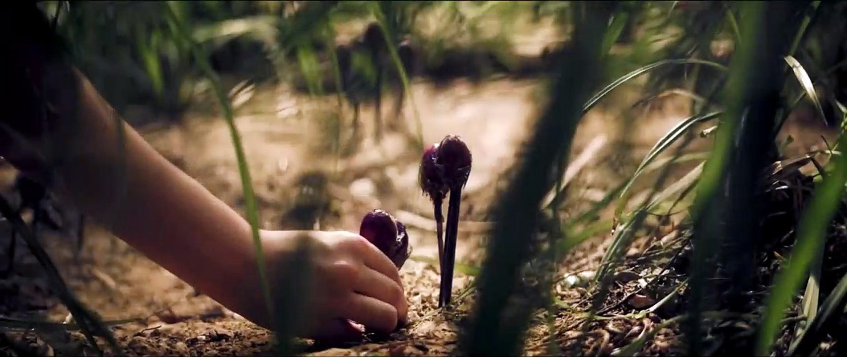 Ich liebe alles, was ich an dir hasse | movie | 2018 | Official Trailer