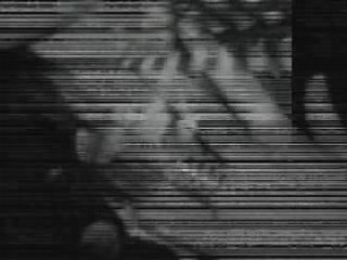 Parce que je les aimes...