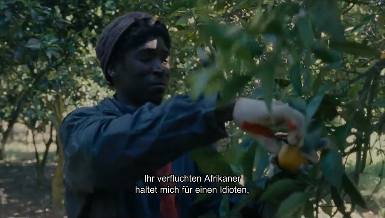 Mediterranea | movie | 2015 | Official Trailer