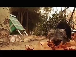 El futuro está en el Porno | movie | 2005 | Official Clip