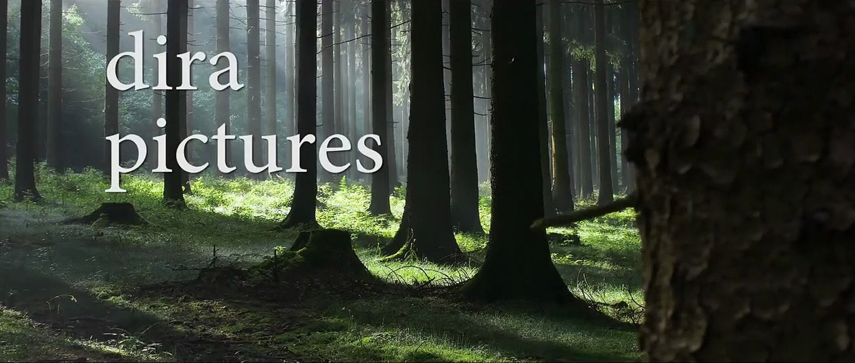 Nailman - Redeemer of Thoughts | movie | 2017 | Official Trailer