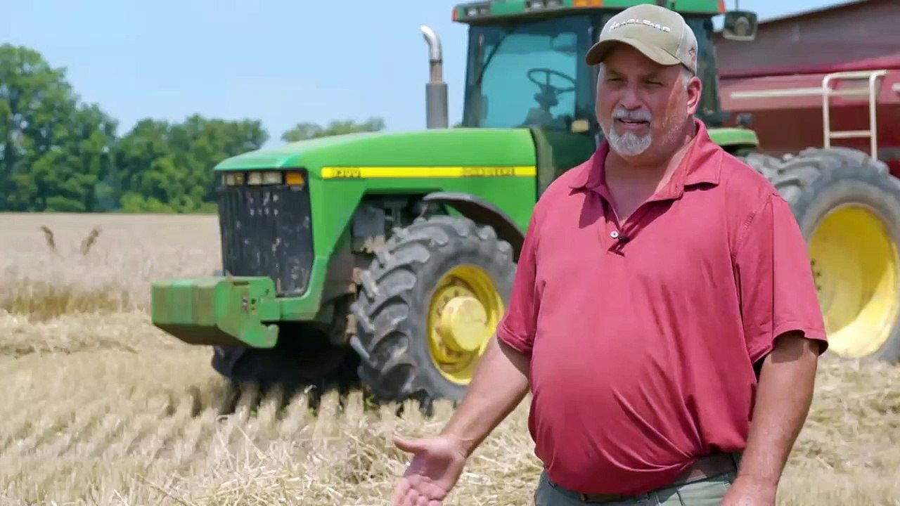 Wheat Harvest