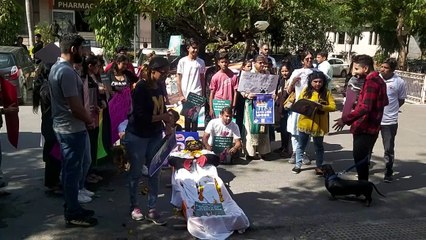 कुत्ते की प्रतीकात्मक अर्थी लेकर निगम पहुंचे पशु प्रेमी, किया प्रदर्शन