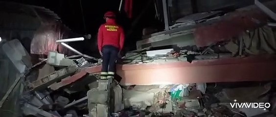 Heya, la perra que rescata supervivientes del terremoto de Turquía.