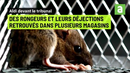 Surprenantes histoires judiciaires en Wallonie: des vacances payées par l'ONEM, Aldi poursuivi, un match de tennis à la prison...