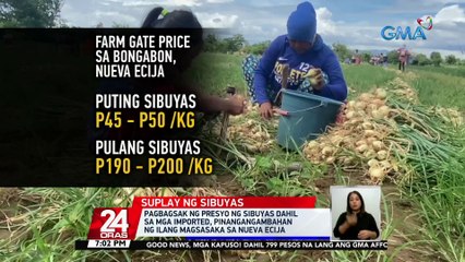 Pagbagsak ng presyo ng sibuyas dahil sa mga imported, pinangangambahan ng ilang magsasaka sa Nueva Ecija | 24 Oras