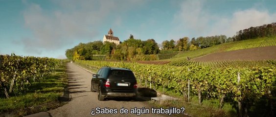 Oro puro - Rheingold - Tráiler oficial VOSE -