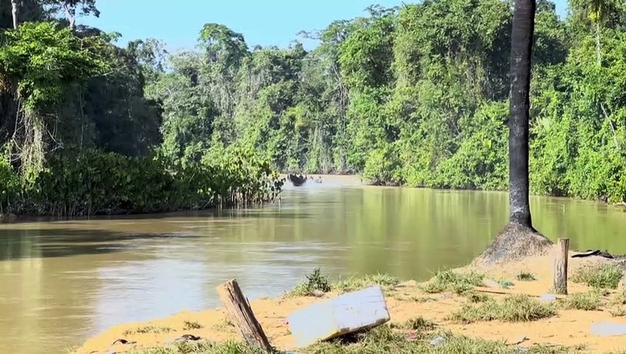 Brasilien vertreibt Goldgräber vom Land der Yanomami