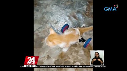 #KuyaKimAnoNa?: Kuting na hirap makalakad, ginawan ng kaniyang fur parent ng improvised wheelchair | 24 Oras