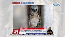 Iba't-ibang species ng ibon na hinuli umano ng ilang vlogger, nailigtas ng DENR | 24 Oras