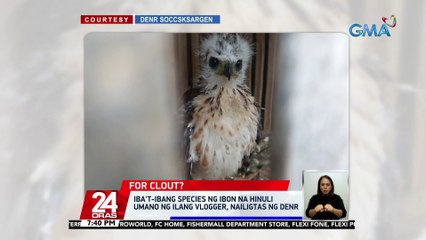 Iba't-ibang species ng ibon na hinuli umano ng ilang vlogger, nailigtas ng DENR | 24 Oras