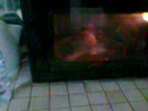 Bataille d'oeuf micro-ondes...