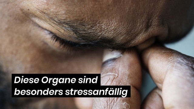 Diese Organe sind besonders stressanfällig