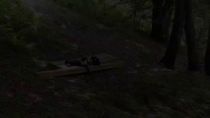 Fairy house in the forest. From start to finish