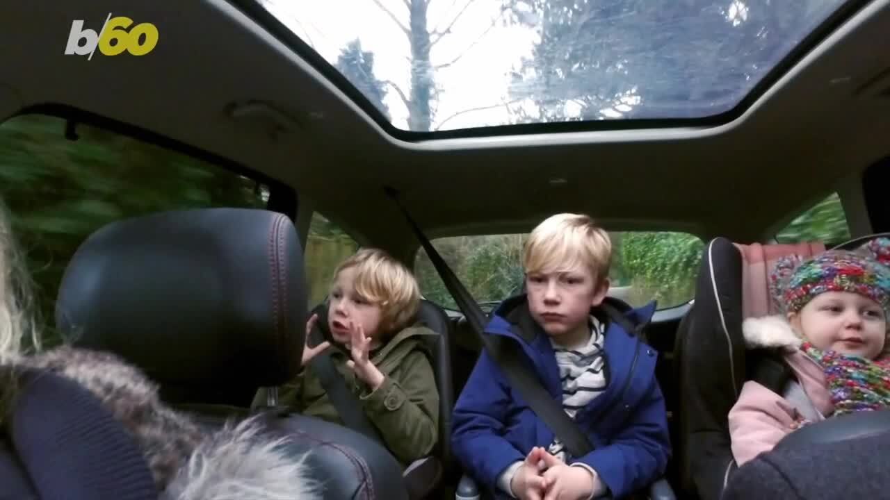 Winter road trips explained: ideas for cold-season getaways