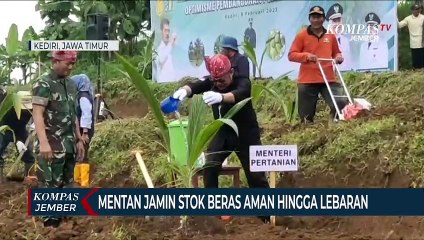 Menteri Pertanian Jamin Stok BerasAmanHingga Idul Fitri