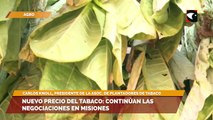 Nuevo precio del tabaco: continúan las negociaciones en Misiones