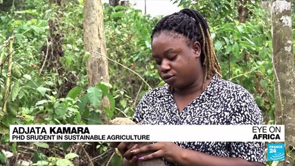 Ivory Coast: How a researcher's work on biopesticides is changing farming