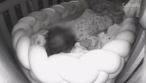 ‘Oh my god’: British family’s baby monitor captures moment mother rescues child as earthquake strikes