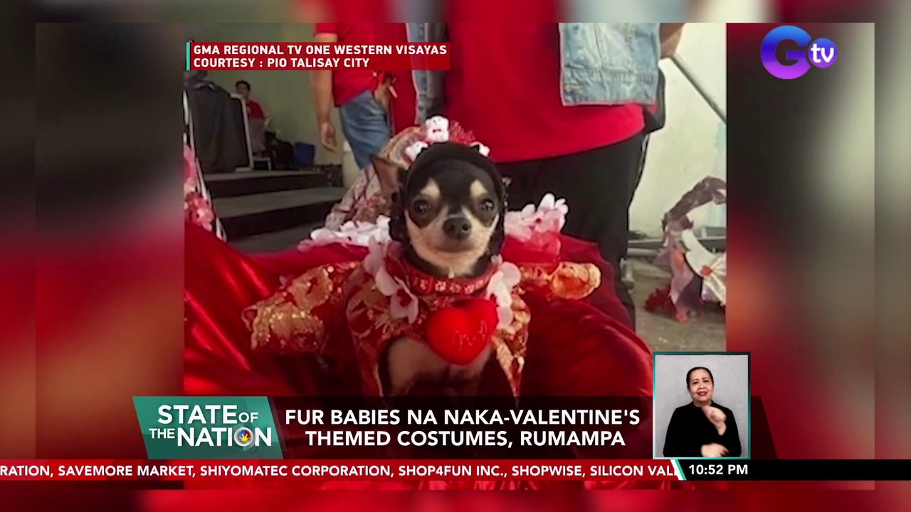 Fur babies na naka-valentine's themed costumes, rumampa | SONA
