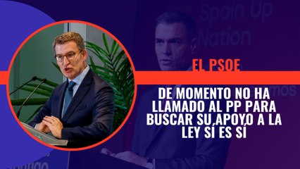 El PSOE de momento no ha llamado al PP para buscar su apoyo a sí es sí