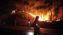 Decretan toque de queda en municipios afectados por incendios en Chile