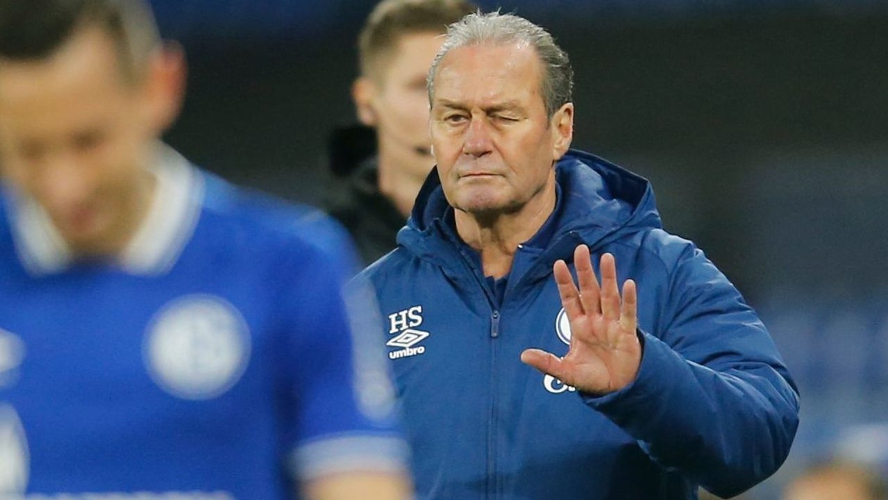 Stevens als Schalke-Berater? 'Können mich immer anrufen'