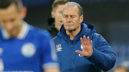 Stevens als Schalke-Berater? "Können mich immer anrufen"