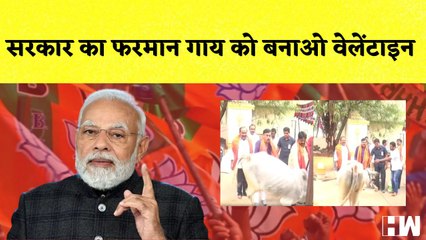 Valentines Day पर Modi सरकार का फरमान, गाय के साथ मनाये वैलेंटाइन्स डे| Cow Hug Day | Animal Welfare