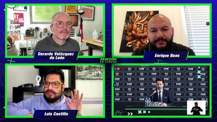 ¿Yon de Luisa debió de tomar la decisión autónoma del próximo técnico de la Selección?