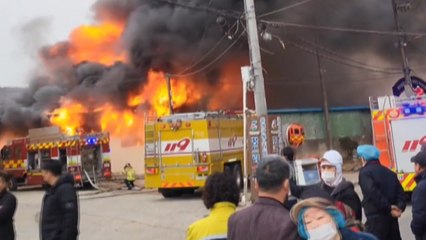 충남 홍성군 김 공장에서 큰불...공장장 다쳐 / YTN