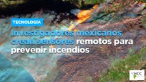 Investigadores mexicanos crean sensores remotos para prevenir incendios