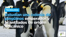 Estudian una colonia de pingüinos emperador y acantilados de origen volcánico