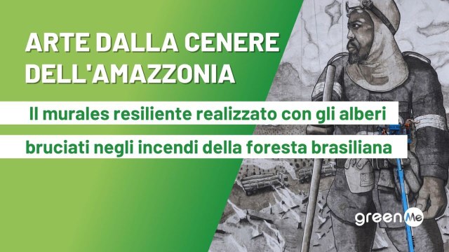 Il murales resiliente realizzato con gli alberi bruciati negli incendi della foresta brasiliana