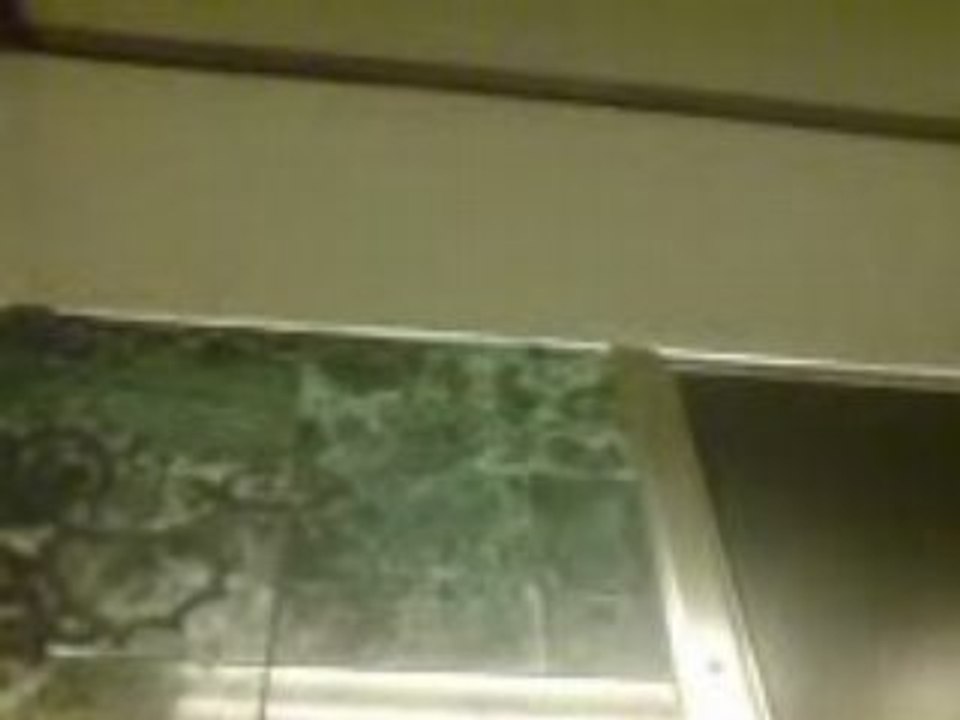 Berns flens jens mens