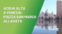 Acqua alta a Venezia, Piazza San Marco allagata